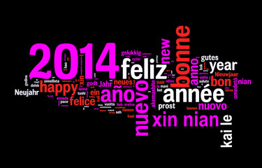 Fototapeta premium 2014, nuage de mots rose