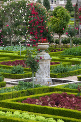 Gardens and Chateau de Villandry  in  Loire Valley in France