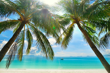 Fototapeta na wymiar Island Paradise - Palmy wiszące nad piaszczystej białej plaży