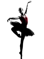 young woman ballerina ballet dancer dancing - obrazy, fototapety, plakaty