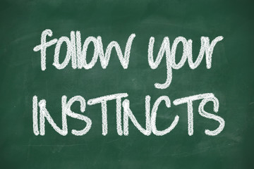 Obraz premium follow your instincts phrase