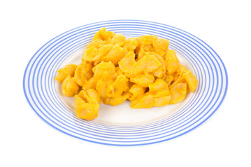 Cooked cheesy pasta shells on a small dish