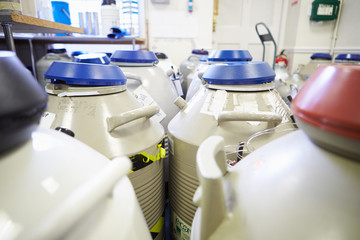 Frozen Storage At Sperm Bank