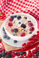 Obraz na płótnie Canvas Plate with oat flakes with milk and berries