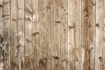 Board texture wood