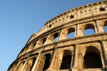 Fototapeta premium Colosseum