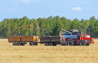 Fototapeta premium tractor in field