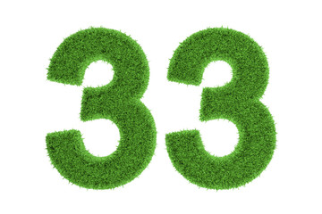 Number 33 with a green grass texture