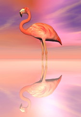 Flamingo reflection - 3D render