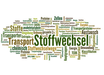 Fototapeta premium Stoffwechsel (Stoffwechseldiät, Ernährung)