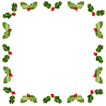 Holly leaves and berries frame