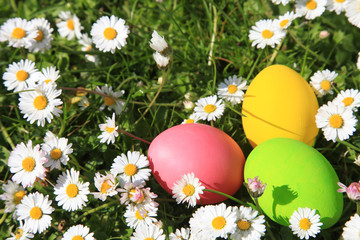 Ostereier suchen im Garten