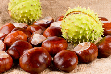 Fresh raw sweet chestnuts