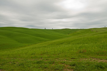 The Tuscan hills