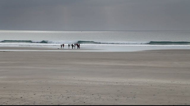 Long Shot / View of Surfers Entering Water