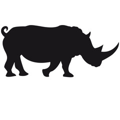 Rhino Design