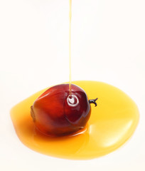 Oil palm fruit and cooking oil