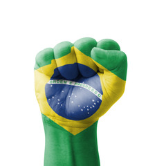 Fist of Brazil flag painted, multi purpose concept