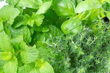 thym, basilic, menthe