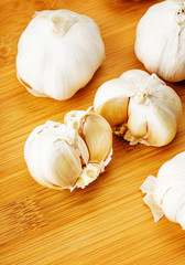 Garlic