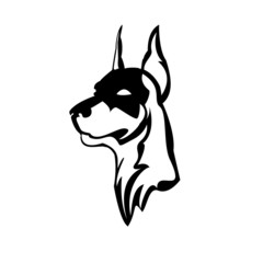 Doberman