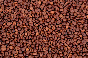 coffee beans on a full background