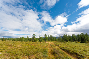 Wild landscape in Ural Mountains.