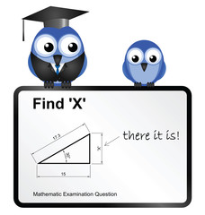 Comical stupid answer to geometry question