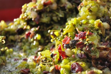 Wine making process - pressed grapes by wine grape centrifuge