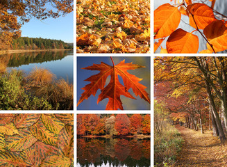 Herbstliche Collage