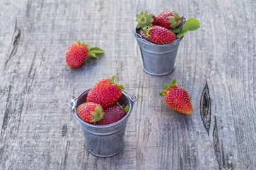 Strawberries in pots