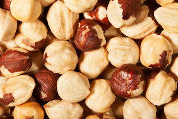 hazelnuts background