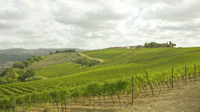 Tuscany vineyards timelapse
