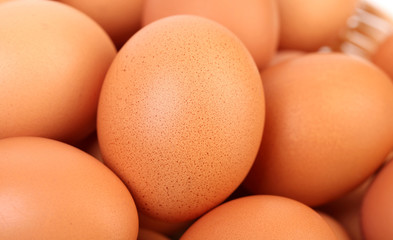 Top view of egg