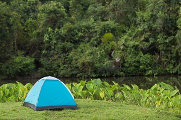 Tent in wild nature