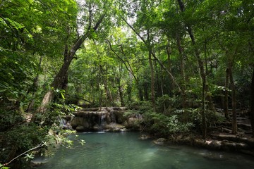 Natural pond in forest