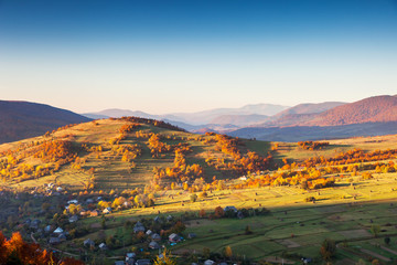 Fototapeta premium autumn