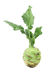 Fresh kohlrabi.