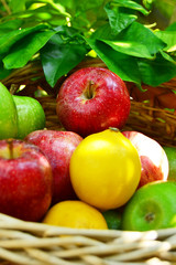 Obst