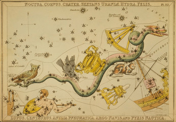 Astronomical chart,vintage