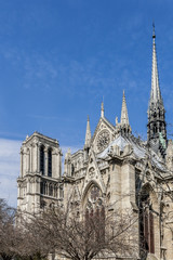 Fototapeta na wymiar Famous Gothic Roman Catholic Cathedral Notre Dame de Paris.