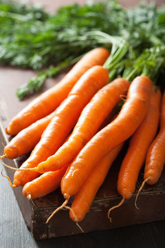 fresh carrot over wooden background