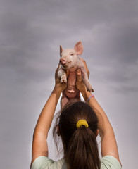 White piglet in girls hands in sky