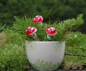 Herbstdekoration mit Fliegenpilzen