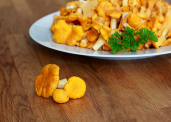 pfifferlinge