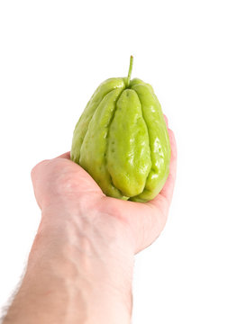 Chayote being held by a hand