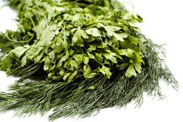 Frischer Dill mit Blattpetersilie