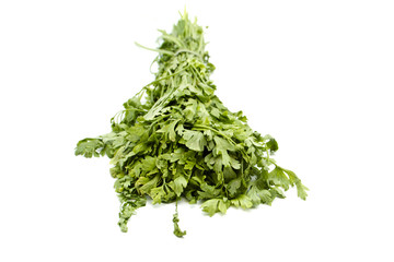 Frische Blattpetersilie