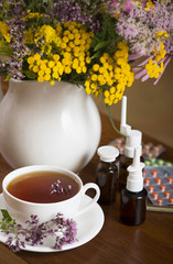 Still life from medicinal herbs, herbal tea and medicines on a