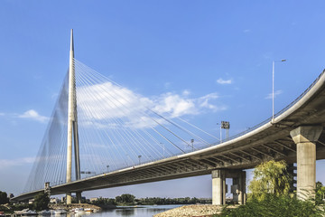 Obraz premium Suspension Bridge Over Ada Pylon - Belgrade - Serbia